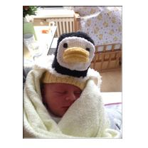 mit Pinguinen hab ich nix am Hut